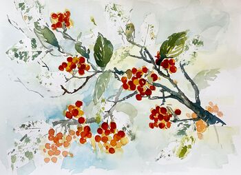 Vogelbeeren Ast Blumen malen Aquarell