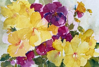 gelbe und lila Stiefmütterchen Aquarell Blumen malen