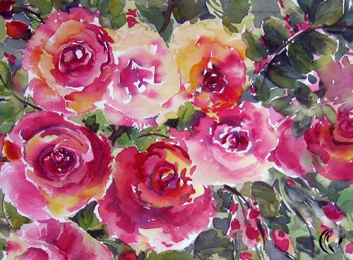 malen am meer Rosen pink rosa Aquarell pink rosa Rosen