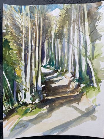 Birken im Wald Landschaft im Aquarell
