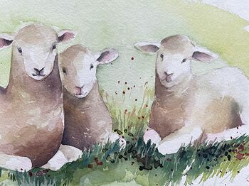 Lämmer Deich Schafe Tier Aquarell malen