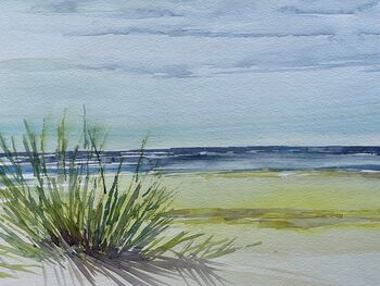 Strandflieder an der See Aquarell