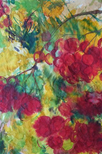 Vogelbeeren Wein Trauben im Aquarell