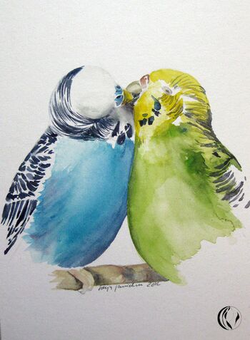 wellensittiche blau tier im Aquarell