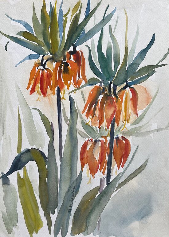 Blume Kaiserkrone Orange Aquarell malen