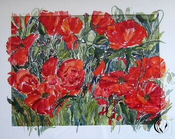 Mohn Mohnwiese Rot im Aquarell