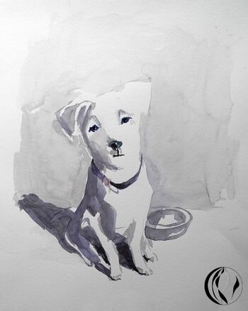 weisser hund tier im aquarell