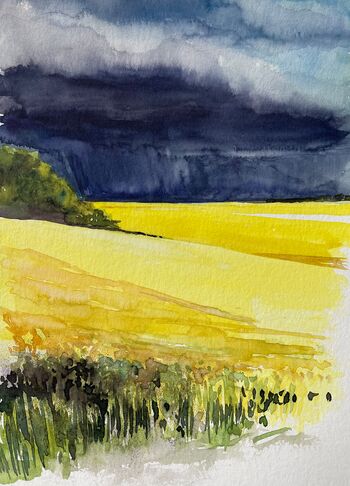 Raps mit Gewitterhimmel im Aquarell