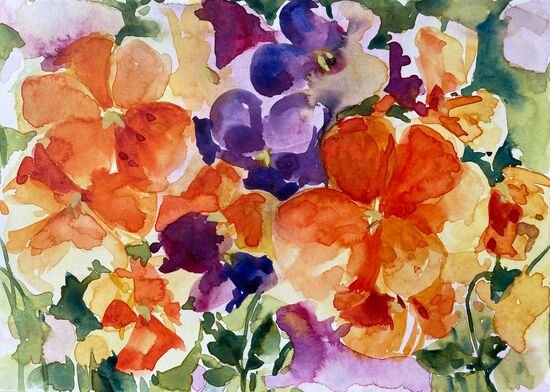 malen am meer stiefmütterchen Stiefmütterchen orange Aquarell Blumen malen