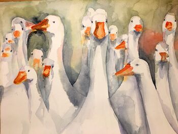 weisse gänse tier im Aquarell