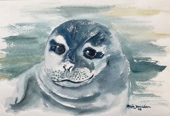 seerobbe aquarell malerei meer wasser