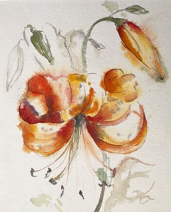 Tigerlilie Lilie Blume im Aquarell