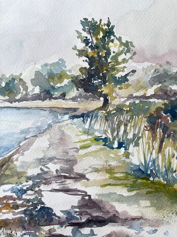 baum strand wasser aquarell