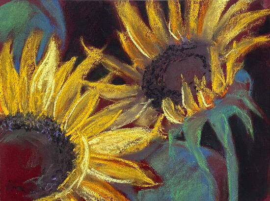 Sonnenblumen Blumen Pastell