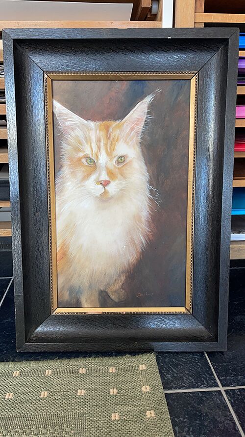 katze rot gemalt
