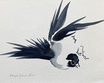 vogel klein aquarell malerei tiere