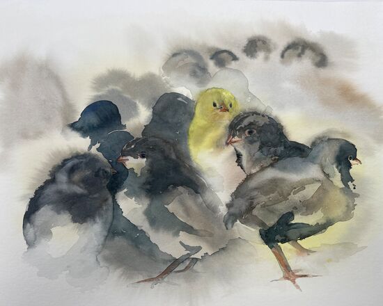 malen am meer küken tier tier gelbe küken Aquarell