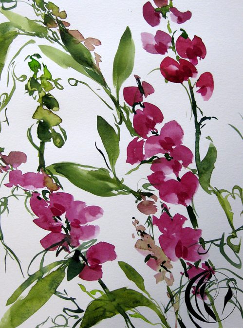malanleitung wicke aquarell wicken malen im Aquarell
